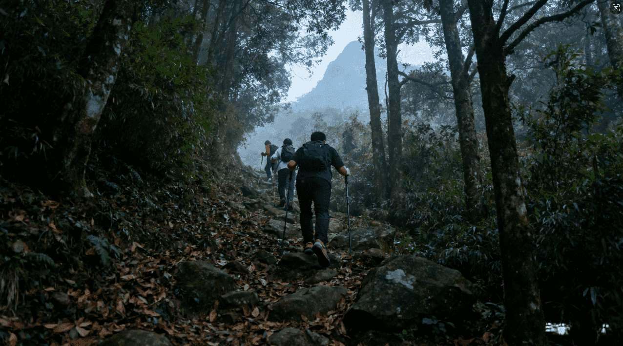 如何修复轻蜂加速器无法正常加速的问题